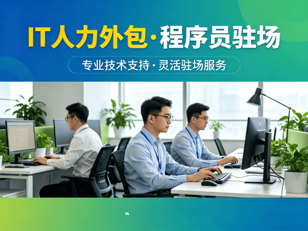 杭州IT人力外包解决方案:Java开发程序员或工程师外包服务助力企业高效发展